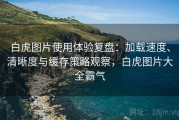 白虎图片使用体验复盘：加载速度、清晰度与缓存策略观察，白虎图片大全霸气