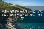 从用户角度聊聊白虎网站一区：加载速度、清晰度与缓存策略观察（新手向）