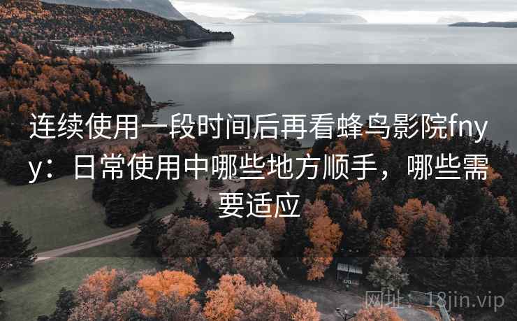 连续使用一段时间后再看蜂鸟影院fnyy：日常使用中哪些地方顺手，哪些需要适应