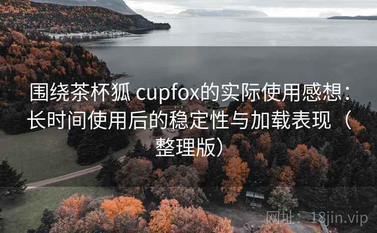 围绕茶杯狐 cupfox的实际使用感想:长时间使用后的稳定性与加载表现(整理版) 围绕茶杯狐 cupfox的实际使用感想:长时间使用后的稳定性与加载表现(整理版)