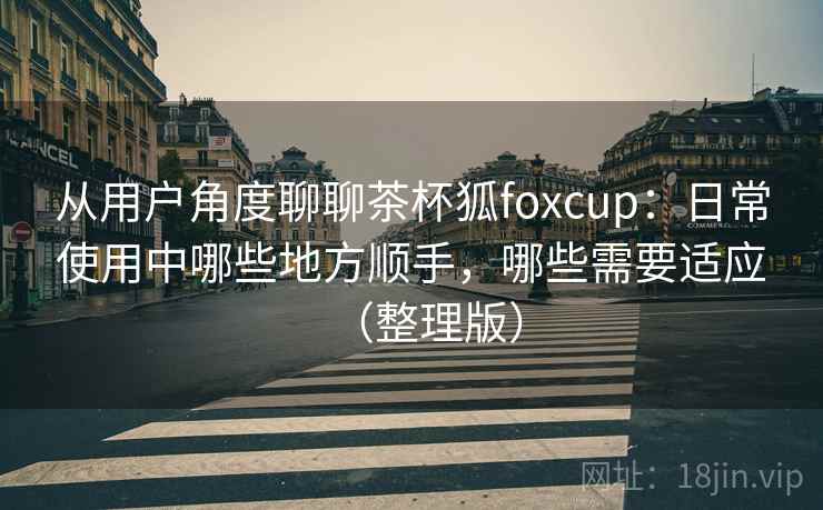 从用户角度聊聊茶杯狐foxcup：日常使用中哪些地方顺手，哪些需要适应（整理版）