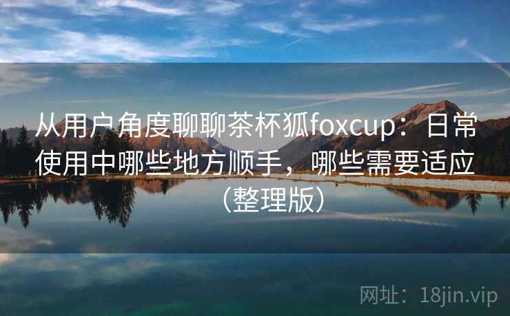 从用户角度聊聊茶杯狐foxcup：日常使用中哪些地方顺手，哪些需要适应（整理版）
