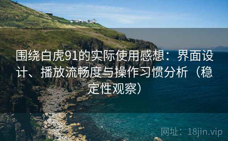 围绕白虎91的实际使用感想:界面设计、播放流畅度与操作习惯分析(稳定性观察) 围绕白虎91的实际使用感想:界面设计、播放流畅度与操作习惯分析(稳定性观察)