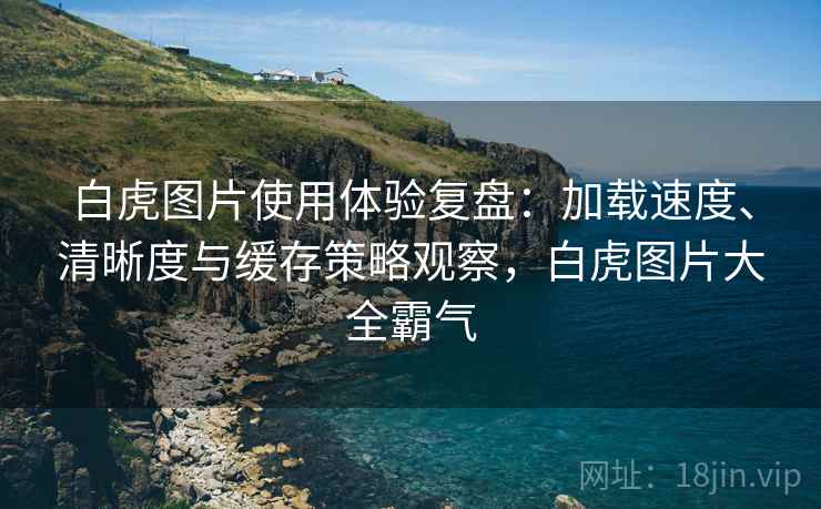 白虎图片使用体验复盘:加载速度、清晰度与缓存策略观察,白虎图片大全霸气 白虎图片使用体验复盘:加载速度、清晰度与缓存策略观察,白虎图片大全霸气