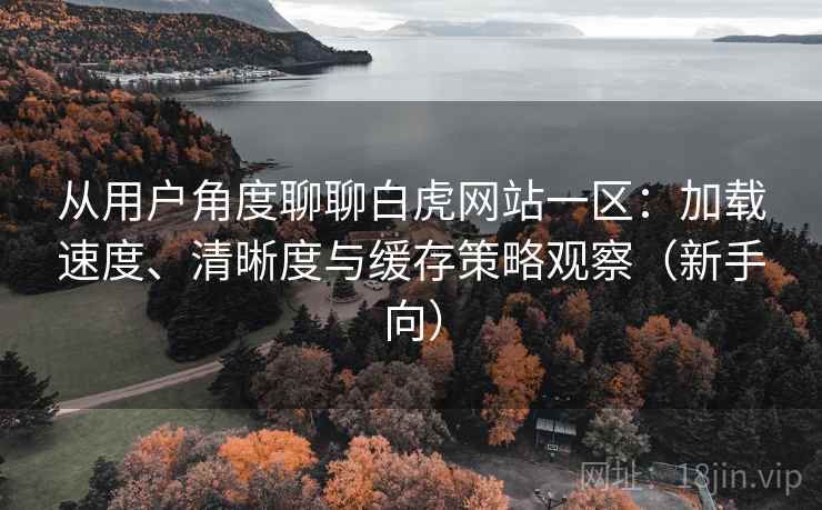 从用户角度聊聊白虎网站一区:加载速度、清晰度与缓存策略观察(新手向) 从用户角度聊聊白虎网站一区:加载速度、清晰度与缓存策略观察(新手向)