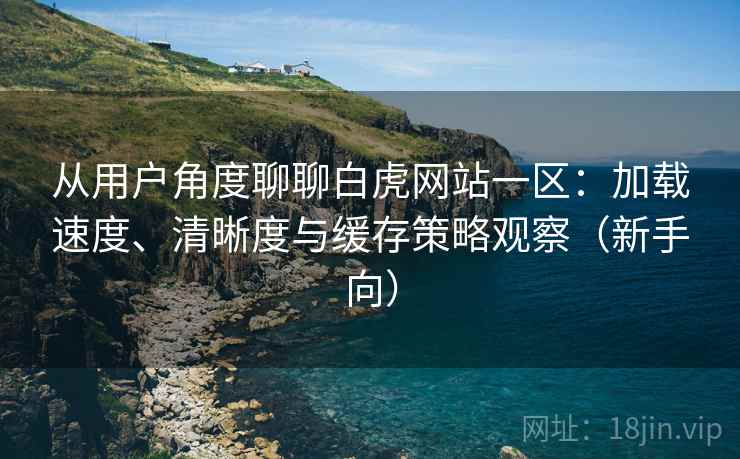 从用户角度聊聊白虎网站一区:加载速度、清晰度与缓存策略观察(新手向) 从用户角度聊聊白虎网站一区:加载速度、清晰度与缓存策略观察(新手向)
